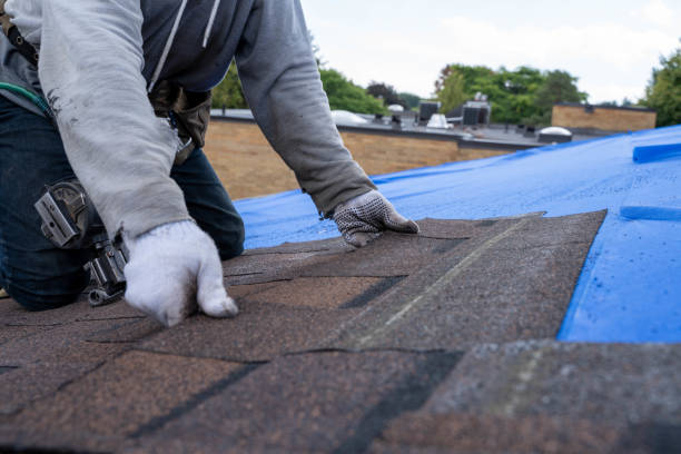 Best Metal Roofing Contractor  in Redgranite, WI